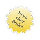 Peyo 
chez 
Bodoi